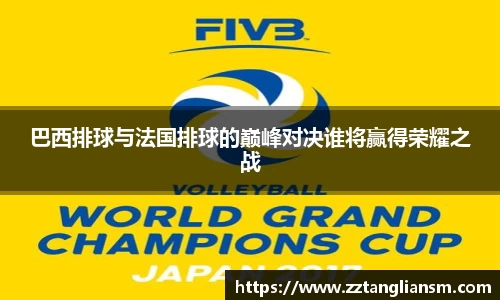 巴西排球与法国排球的巅峰对决谁将赢得荣耀之战